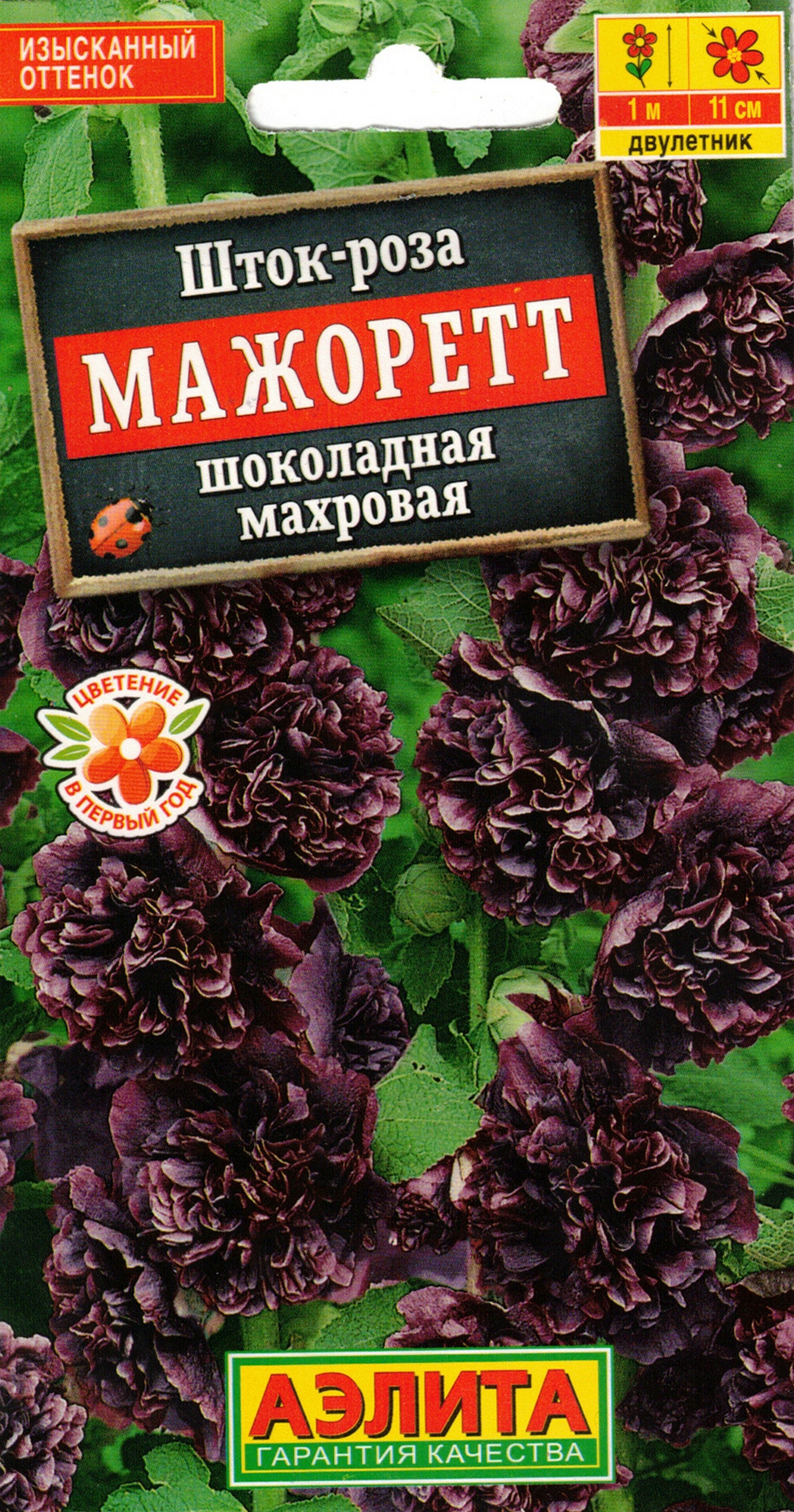 Шток-роза Мажоретт шоколадная махровая, 10 шт.
