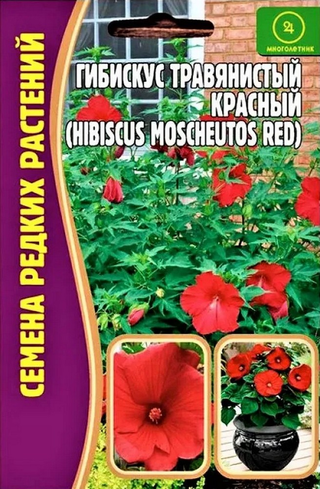 Гибискус Травянистый(болотный) Красный, 5 шт. 