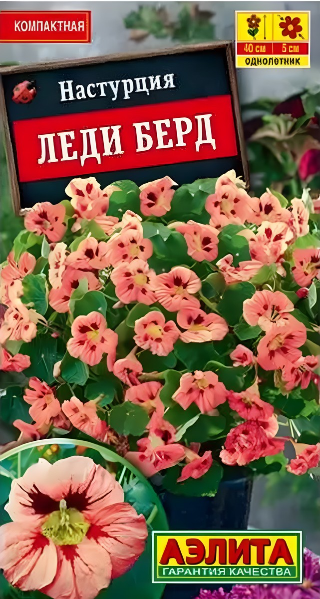 Настурция Леди Берд, 1 г