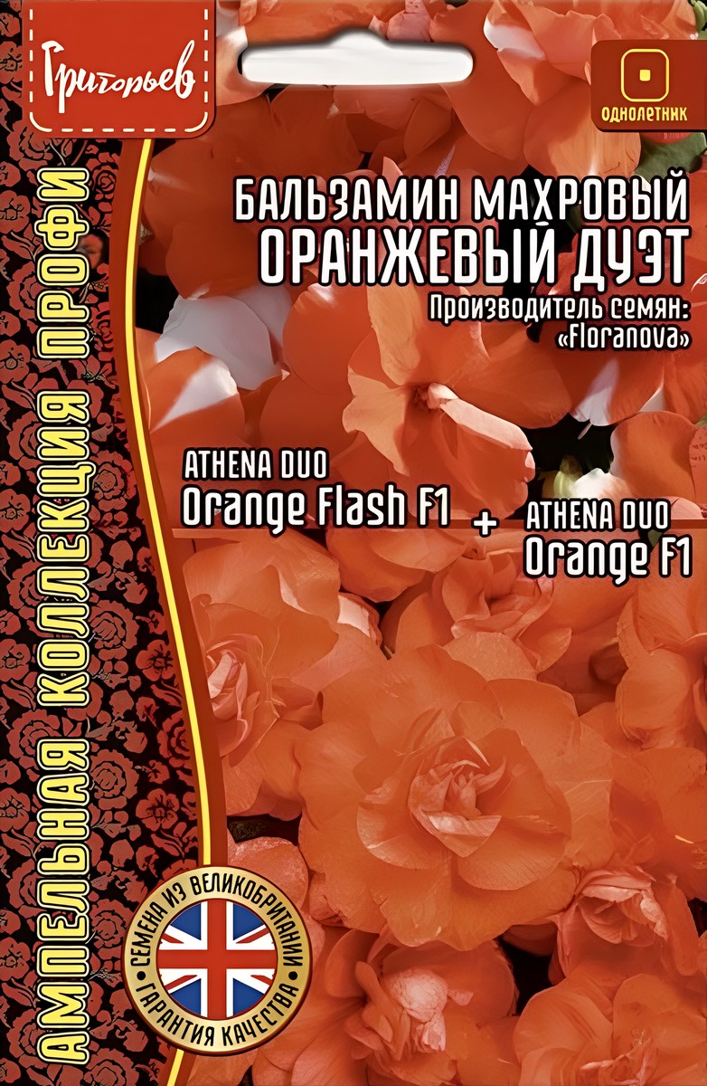 Бальзамин Афина Оранжевый Дуэт F1, махровый, 4 шт. 
