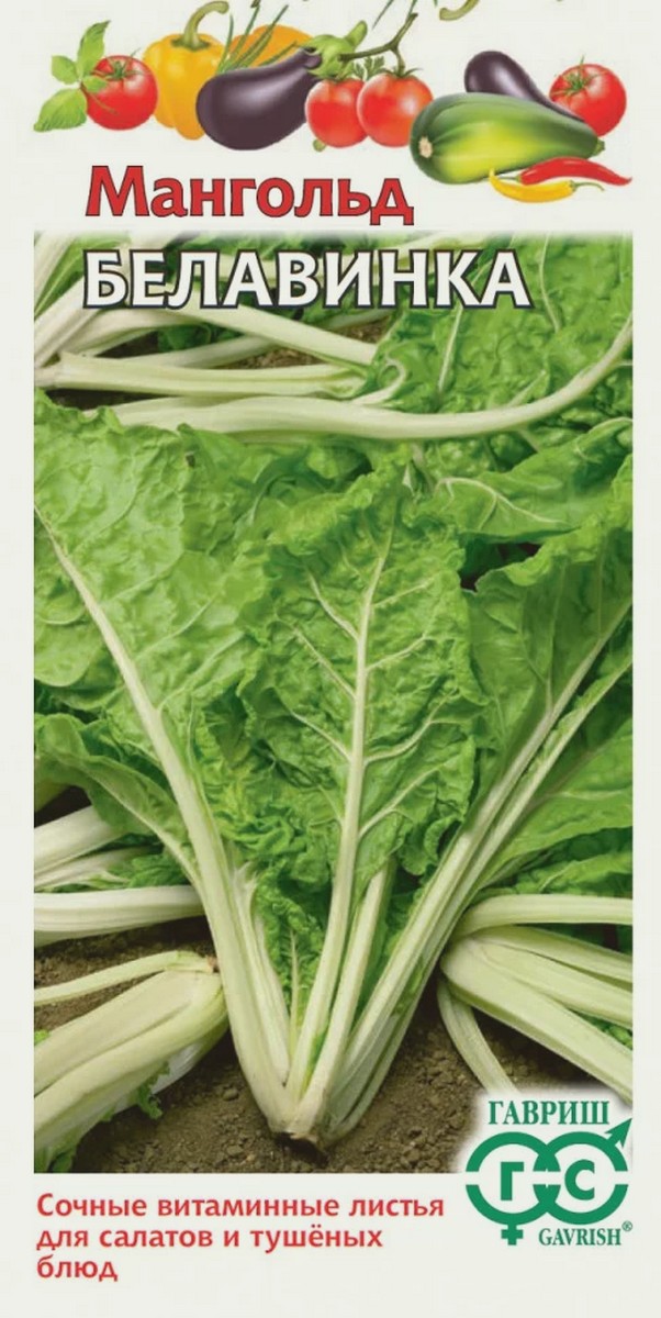 Мангольд Белавинка, 2 г