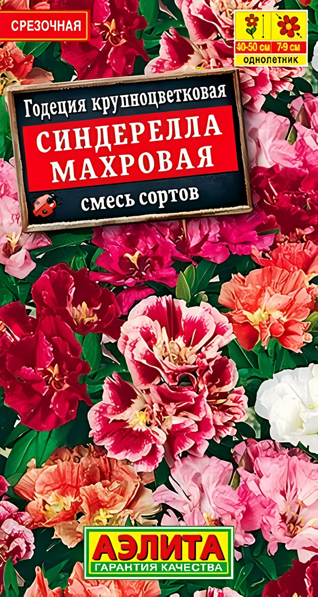 Годеция Синдерелла крупноцветковая махровая, смесь сортов, 0,05 г