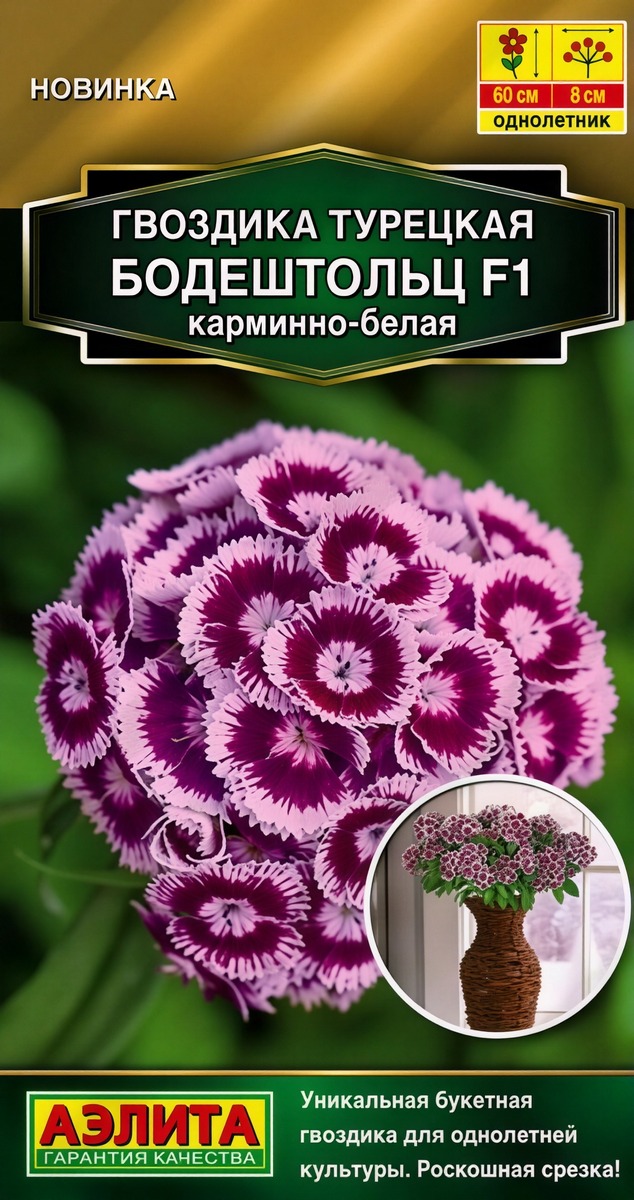 Гвоздика турецкая Бодештольц F1 карминно-белая, 7 шт.