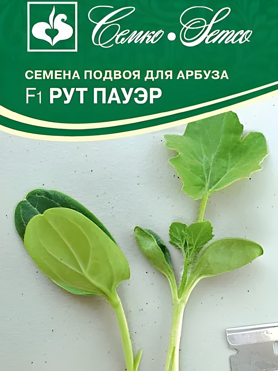 Подвой для арбуза F1 Рут Пауэр, 5 шт.