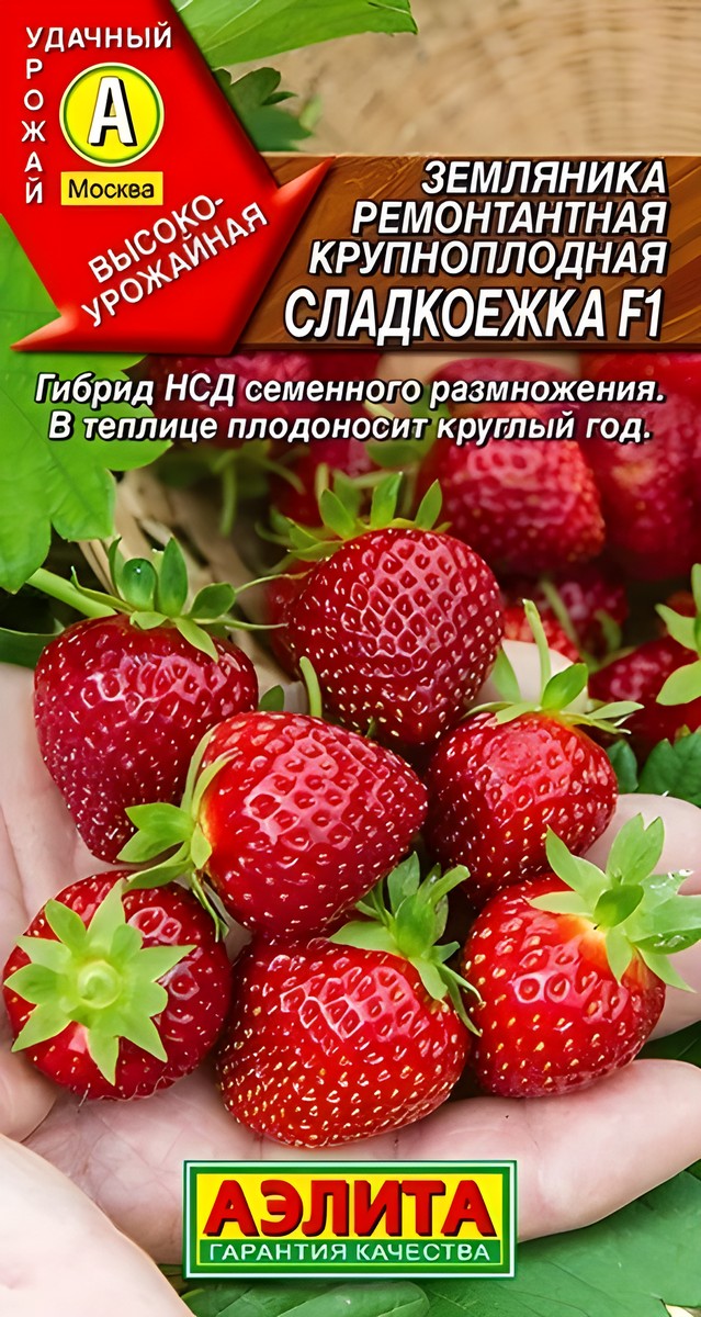 Земляника ремонтантная крупноплодная Сладкоежка F1, 10 шт. 