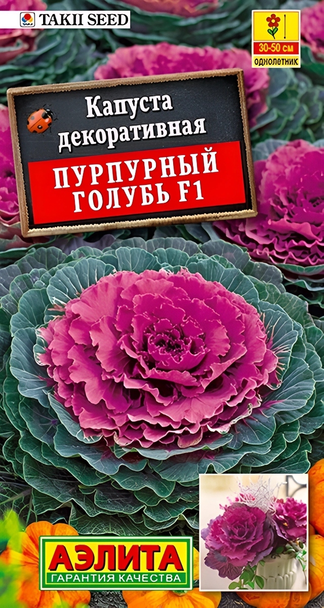 Капуста декоративная Пурпурный голубь F1, 7 шт.