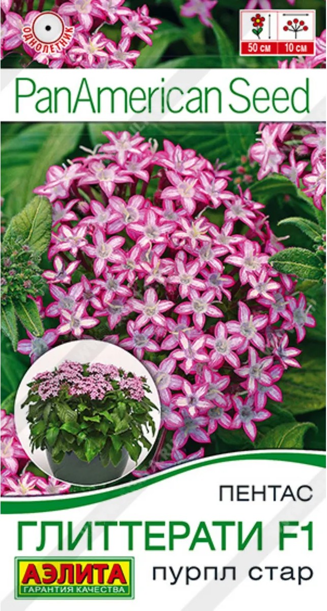 Пентас Глиттерати F1 пурпл стар, 3 шт.