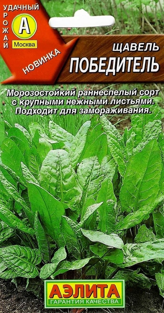 Щавель Победитель, 0,5 г