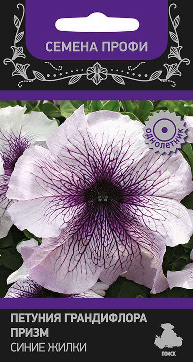 Петуния грандифлора призм Синие Жилки, 30 шт. Семена профи