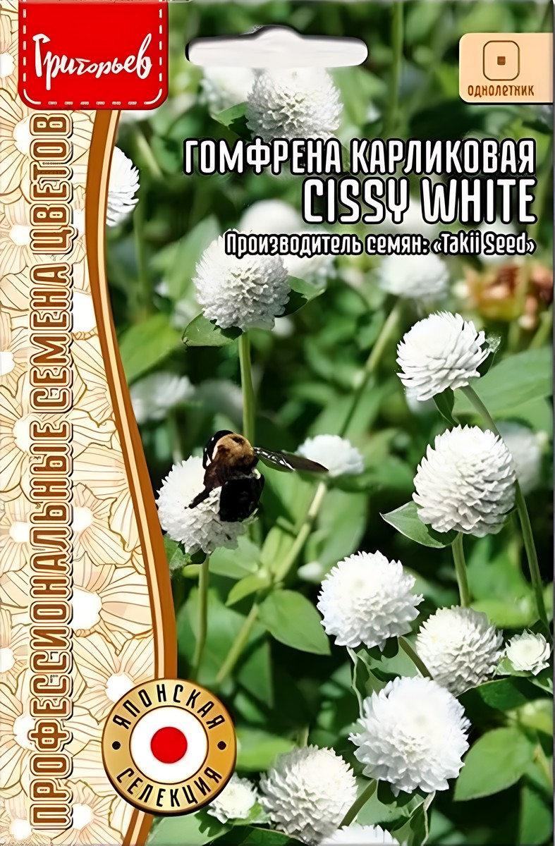Гомфрена Cissy White, карликовая, 4 шт.