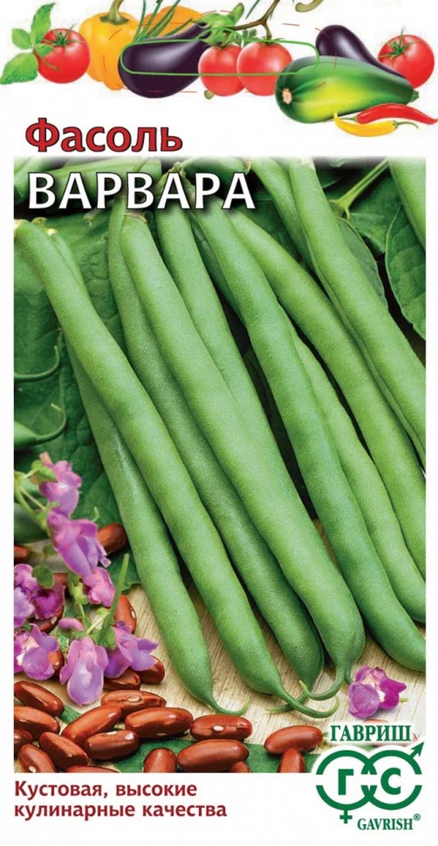 Фасоль кустовая, Варвара, зеленая, 5 г 