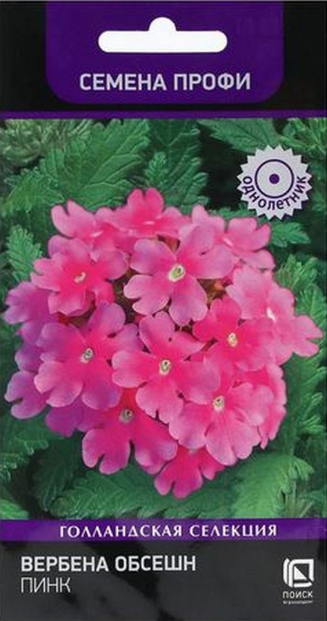 Вербена Обсешн Пинк, 10 шт. Семена профи