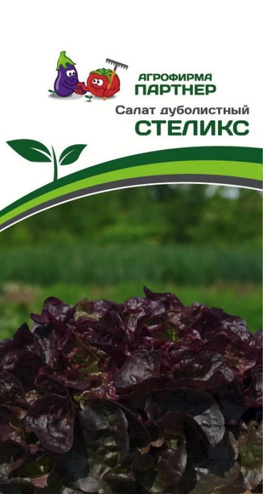 Салат дуболистный Стеликс, 15 шт. Агрофирма Партнер.