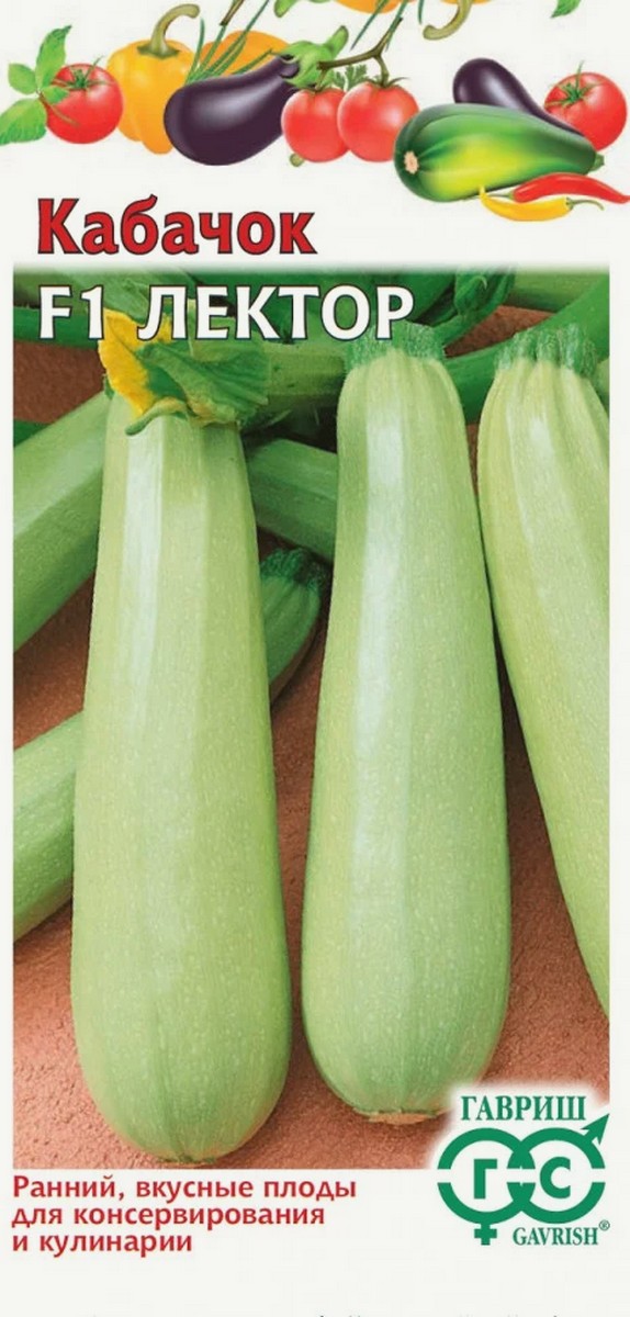 Кабачок Лектор F1, 5 шт.