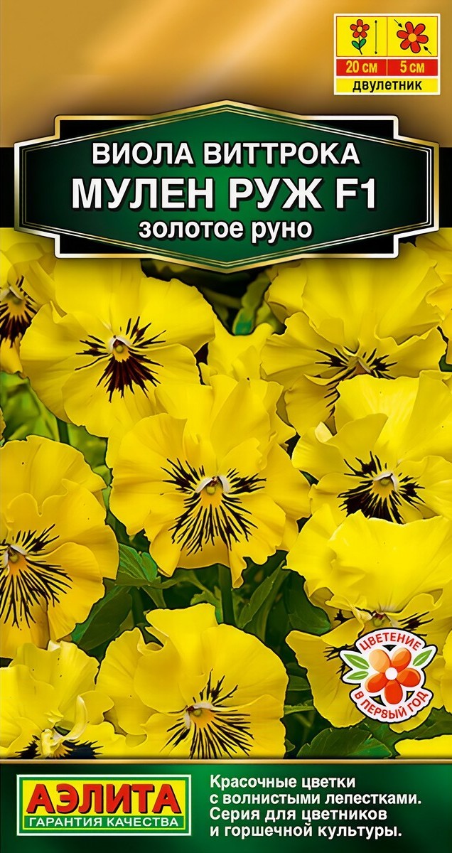 Виола Мулен Руж F1 золотое руно, 5 шт.