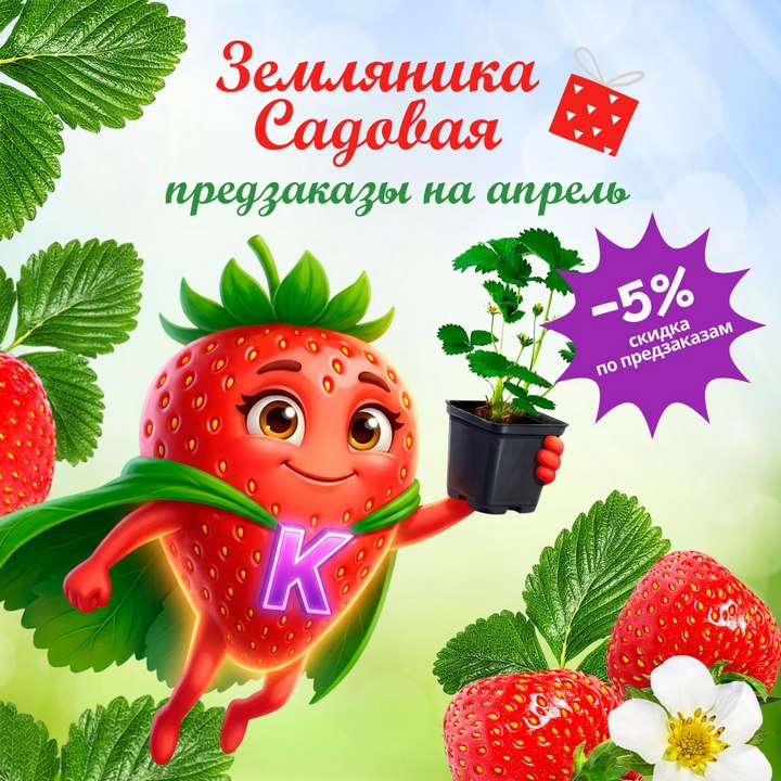 Предзаказ саженцев земляники садовой (клубники)