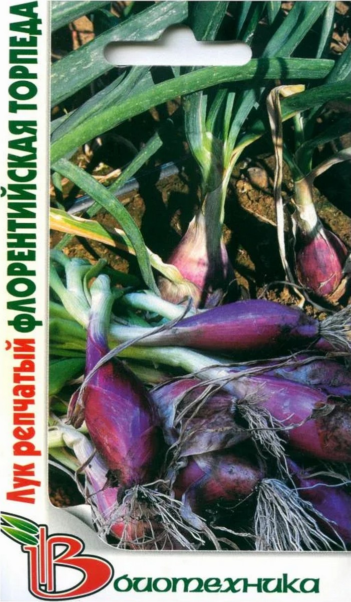 Лук репчатый Флорентийская Торпеда, 0,3 г Биотехника
