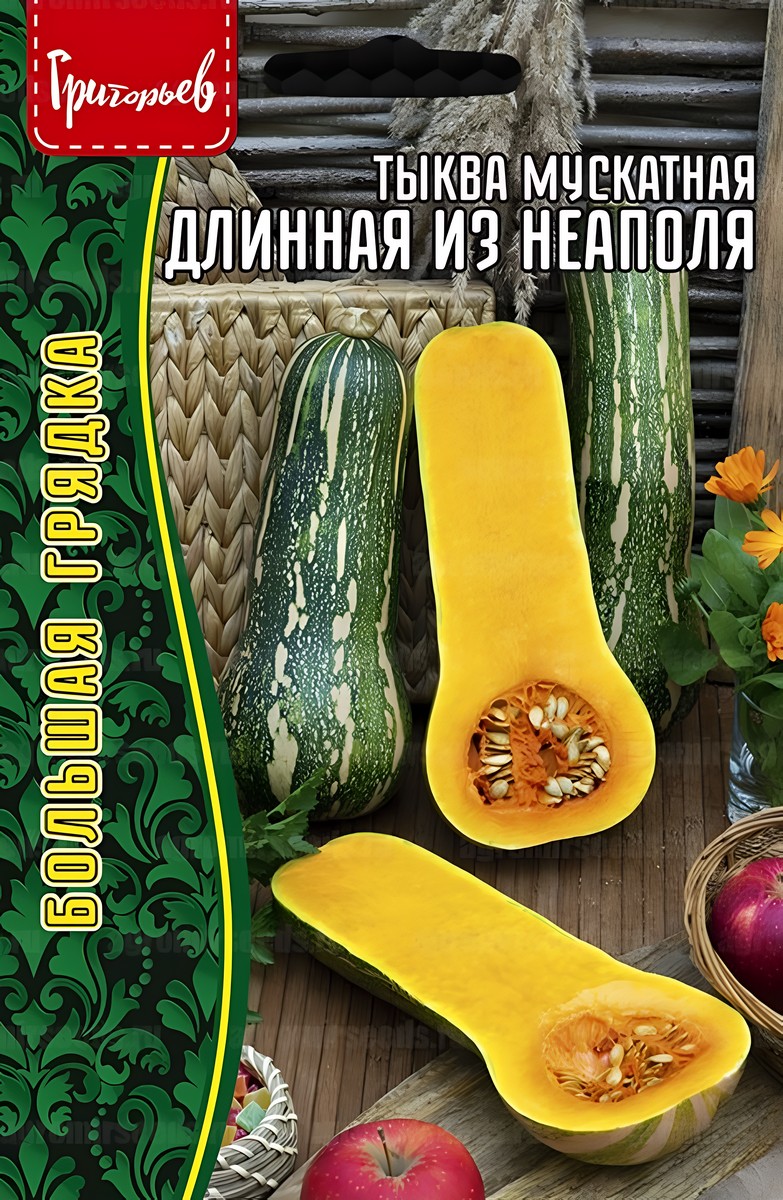 Тыква Длинная из Неаполя мускатная, 4 шт.