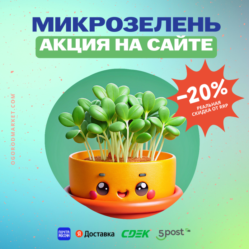 Старт недели микрозелени