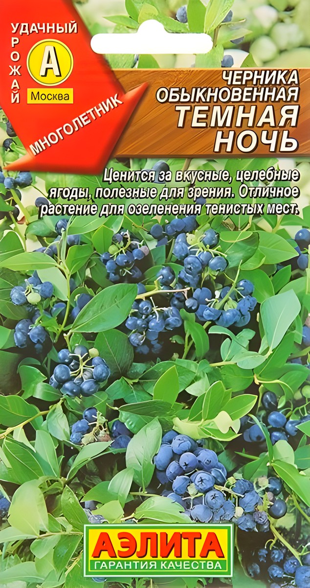 Черника обыкновенная Темная ночь, 0,01 г
