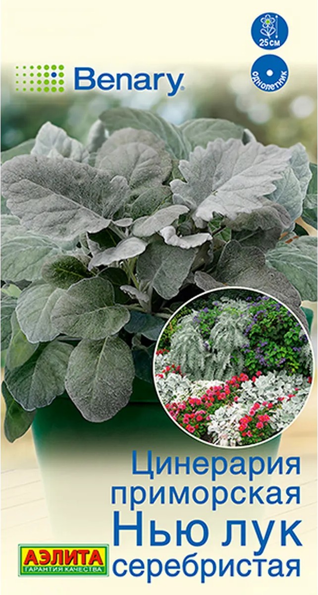 Цинерария Нью Лук серебристая, 15 шт.