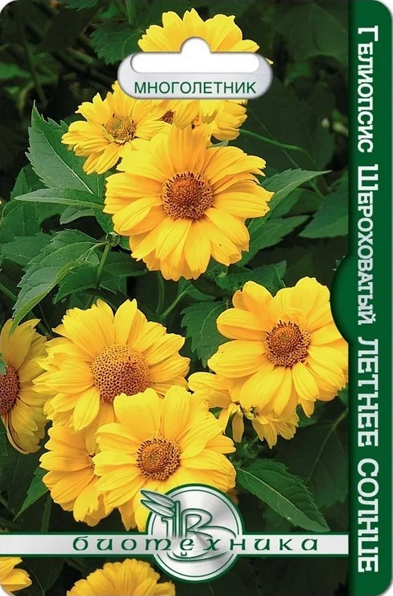 Гелиопсис шероховатый Летнее солнце, 30 шт. Биотехника