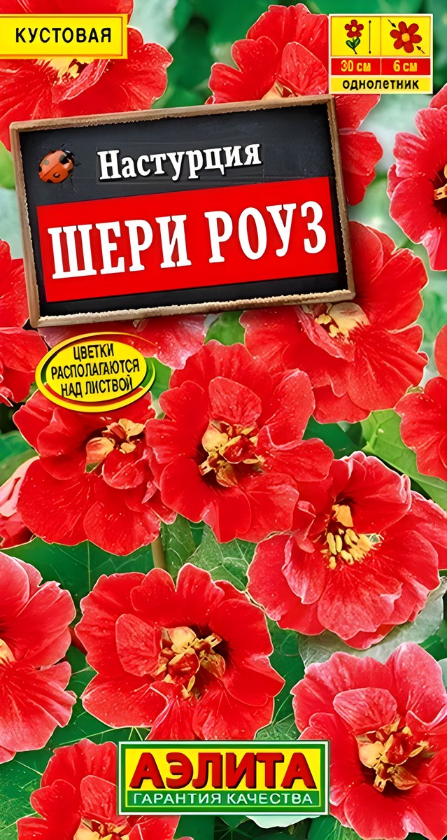 Настурция Шери Роуз, карликовая, 1 г