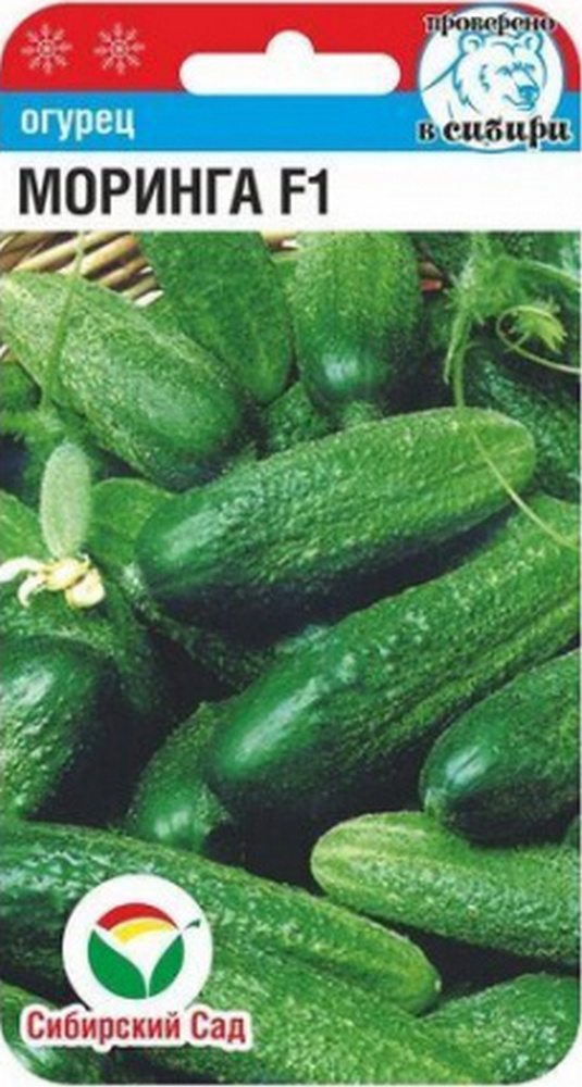 Огурец Моринга, 7 шт. Сибирский сад
