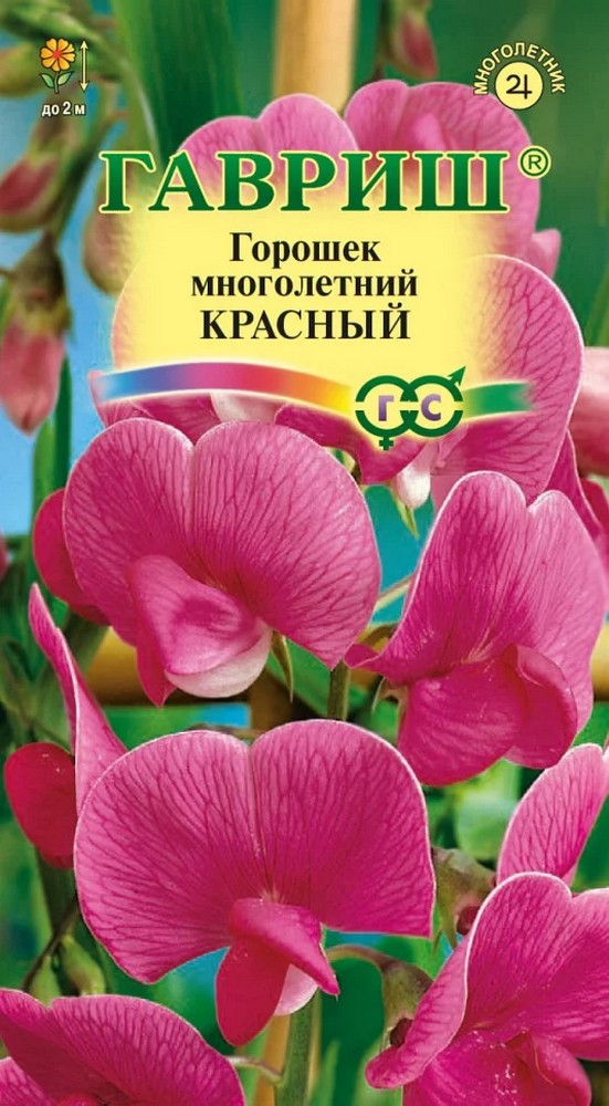 Горошек многолетний Красный, 0,5 г