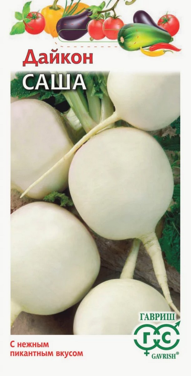 Дайкон Саша, 1 г. Гавриш.