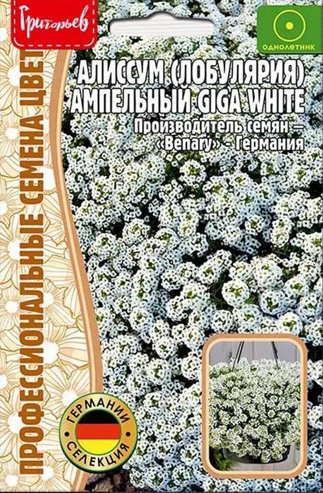 Алиссум Giga White 5 мультидраже