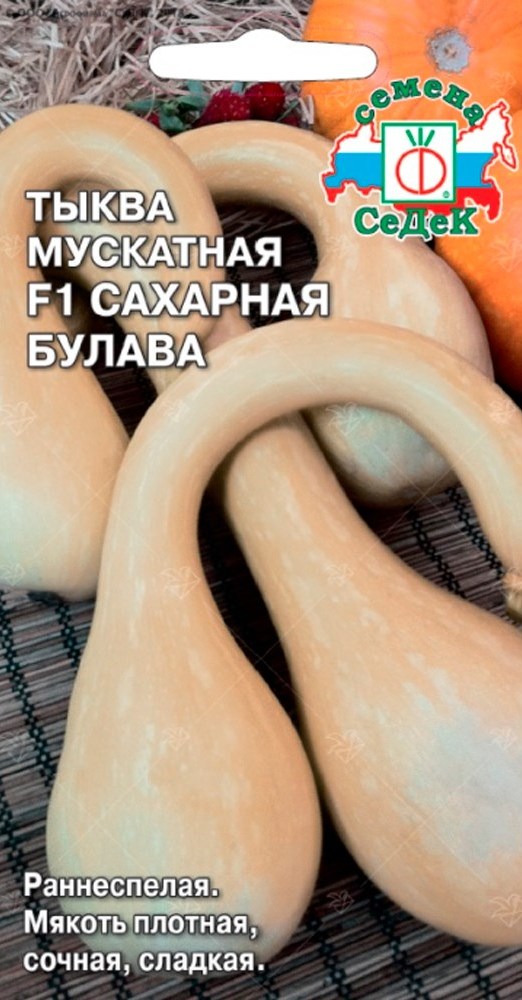 Тыква Сахарная Булава F1, 1 г