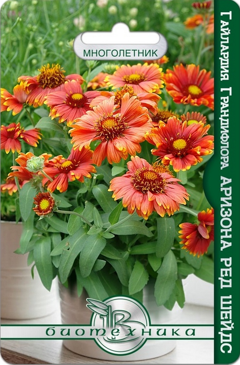 Гайлардия грандифлора Аризона Ред Шейдс, 8 шт.