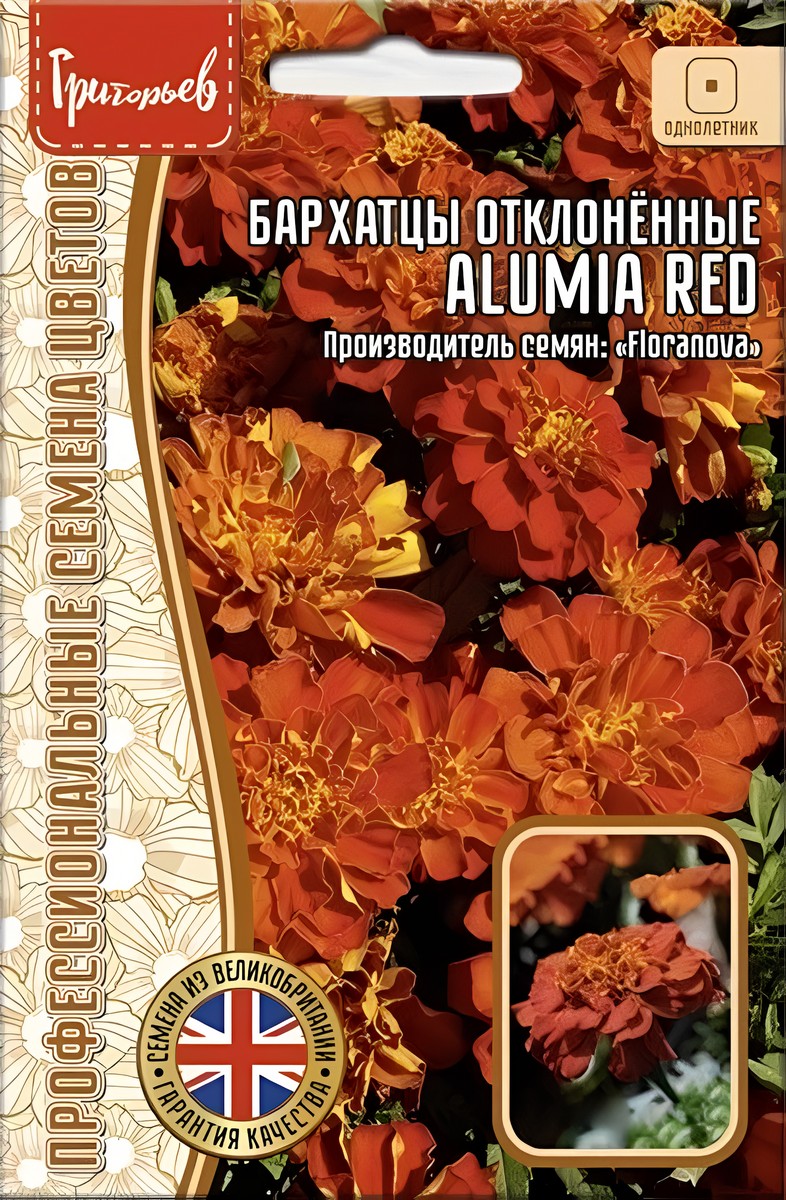 Бархатцы Alumia Red (Алумия Красная), отклоненные, 5 шт.
