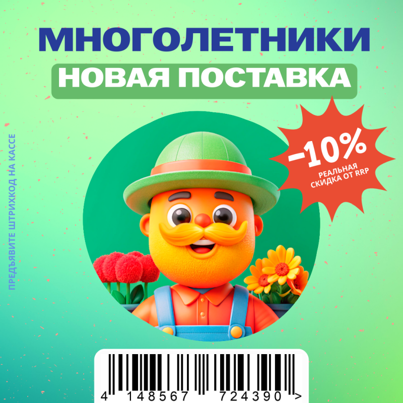 Новое поступление многолетников