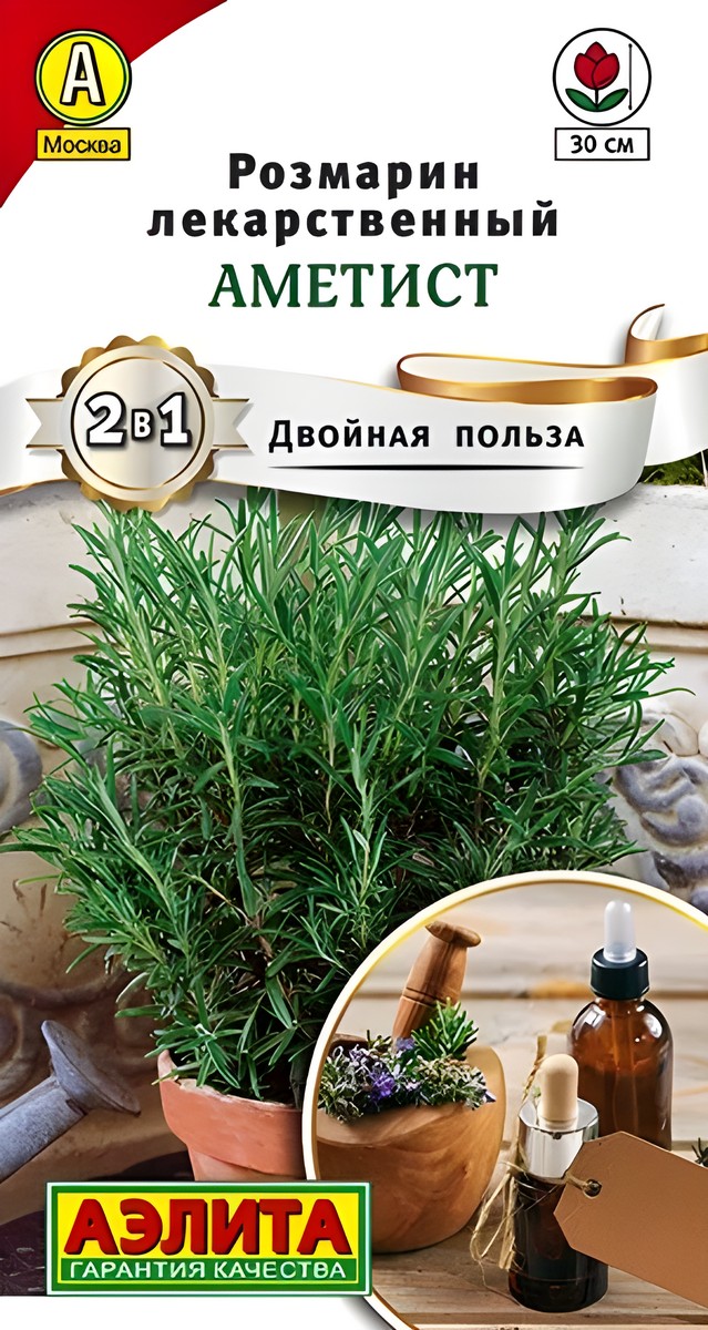 Розмарин Аметист, 20 шт.