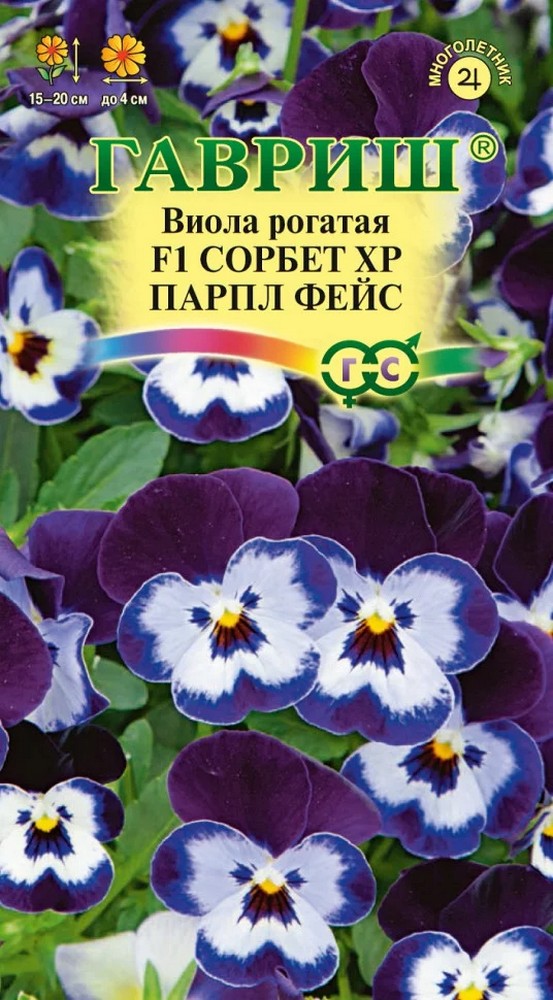 Виола рогатая Сорбет XP Парпл Фейс F1, 5 шт. 