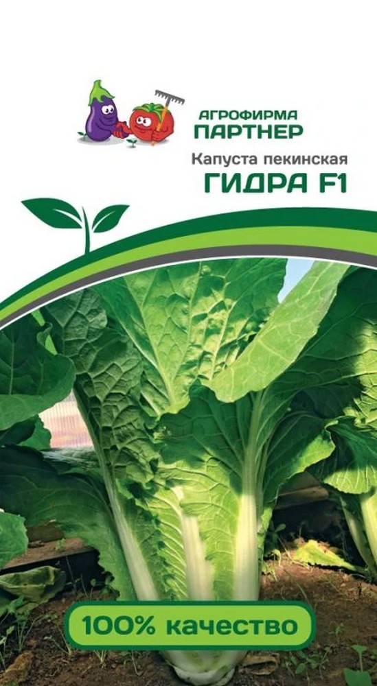 Капуста пекинская Гидра F1, 0,5 г. Агрофирма Партнер.
