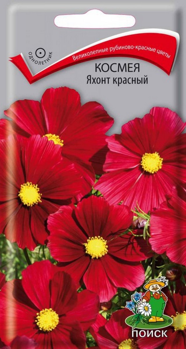 Космея Яхонт красный, 0,1 г