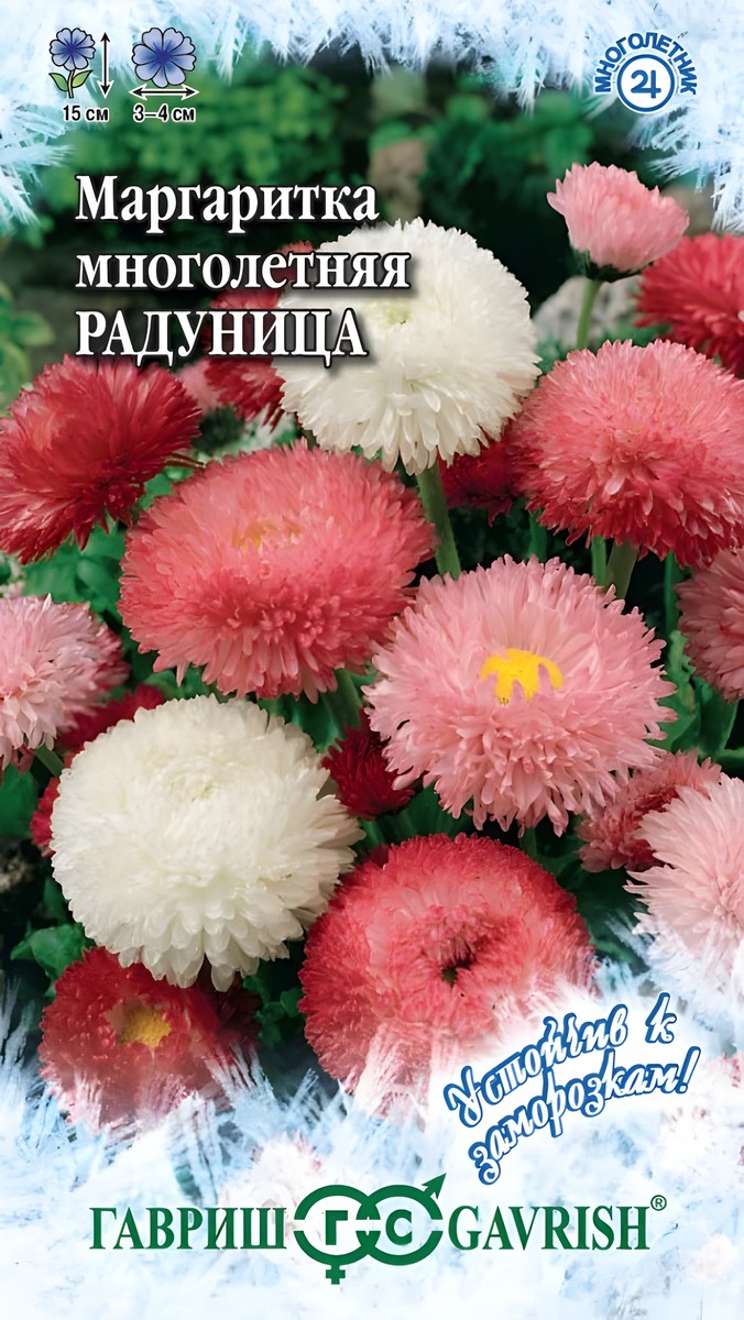 Маргаритка Радуница смесь, 0,05 г. Устойчив к заморозкам.