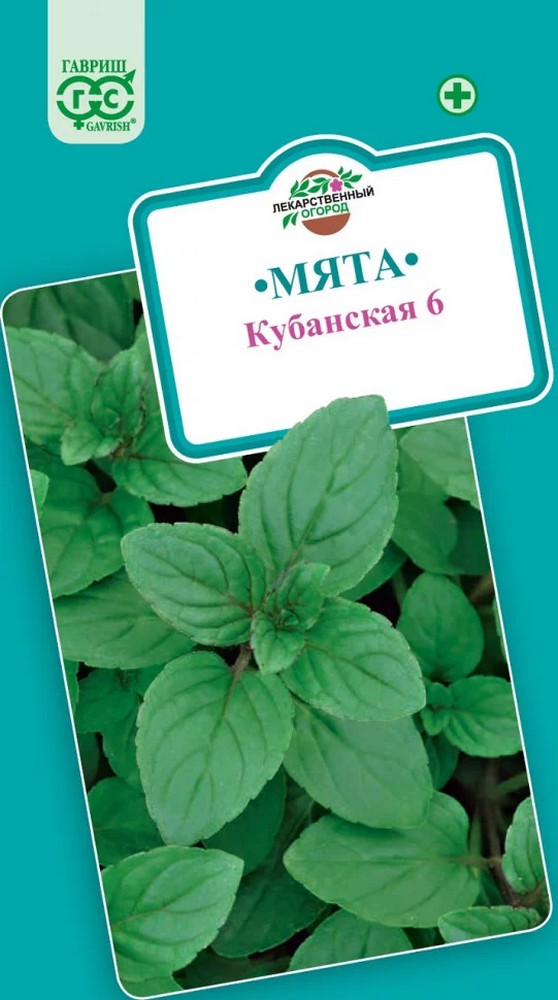 Мята перечная Кубанская 6, 0,05 г. Лекарственная.