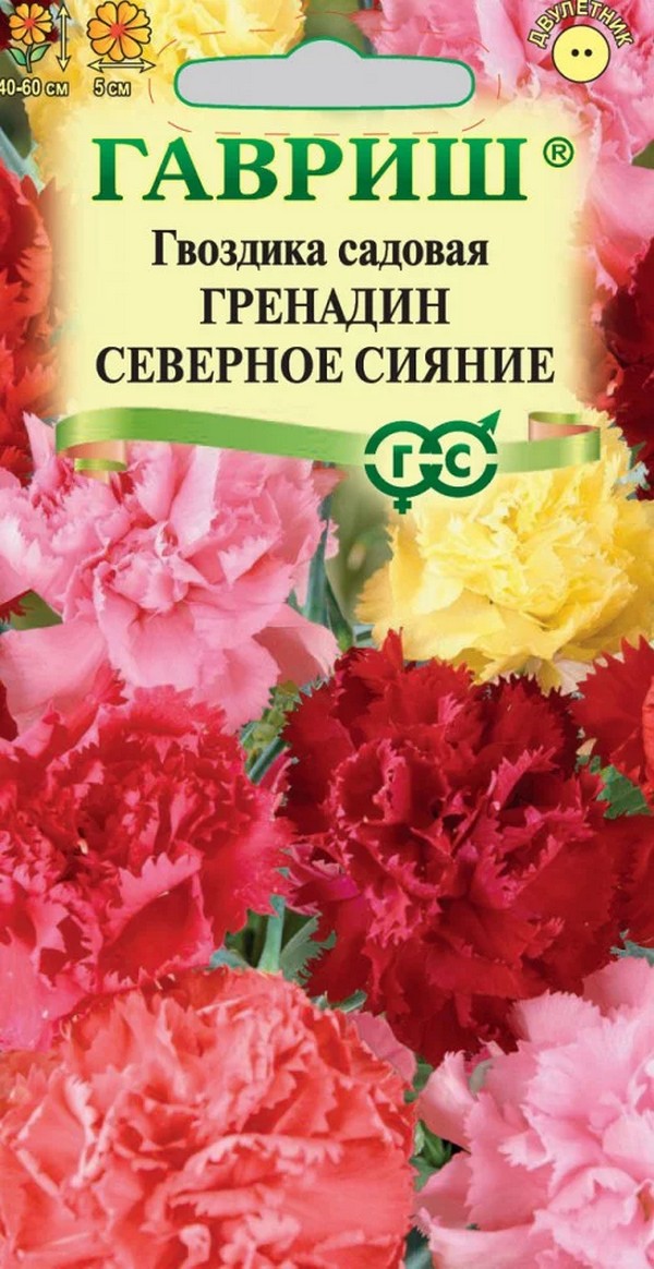 Гвоздика гренадин Северное сияние, смесь, 0,1 г