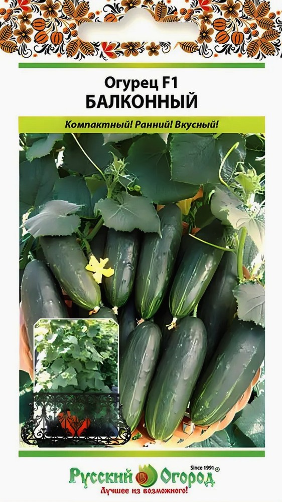 Огурец Балконный F1, 10 шт. . Русский огород