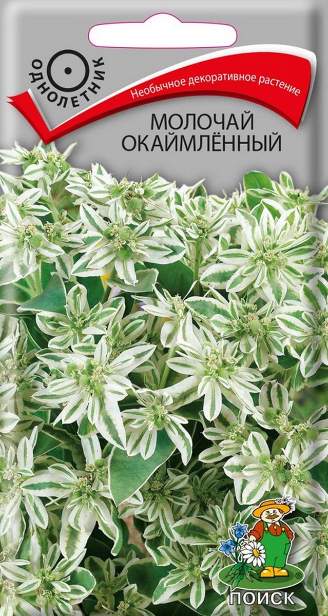 Молочай Окаймленный, 0,2 г