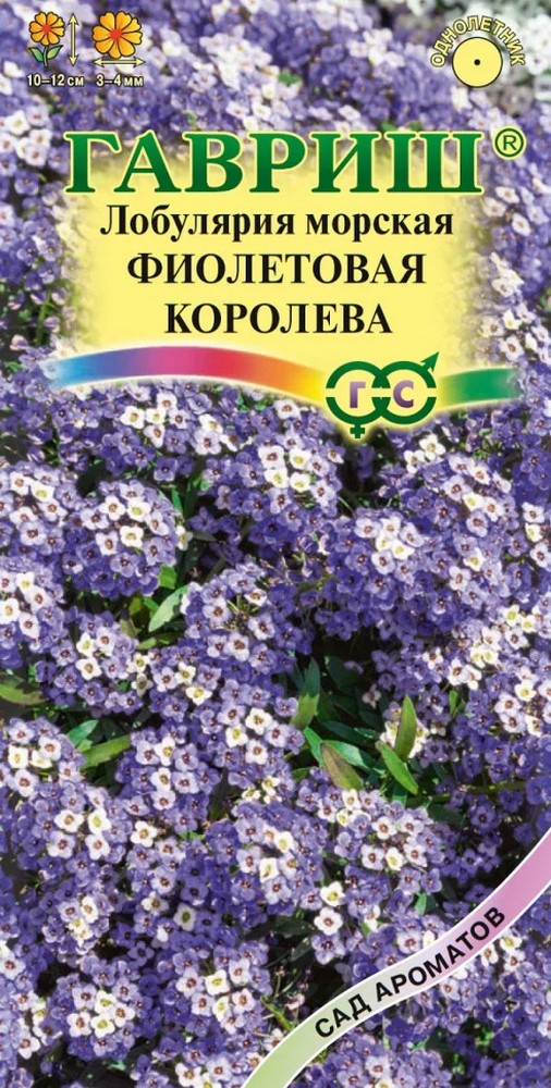 Лобулярия Фиолетовая королева, 0,05 г. Сад ароматов. 