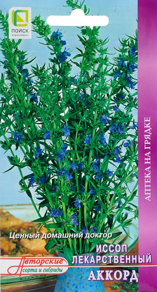 Иссоп лекарственный Аккорд, 0,5 г Аптека на грядке Поиск