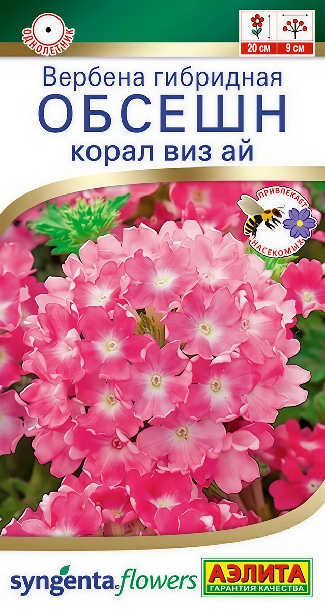 Вербена Обсешн корал виз ай, 5 шт.