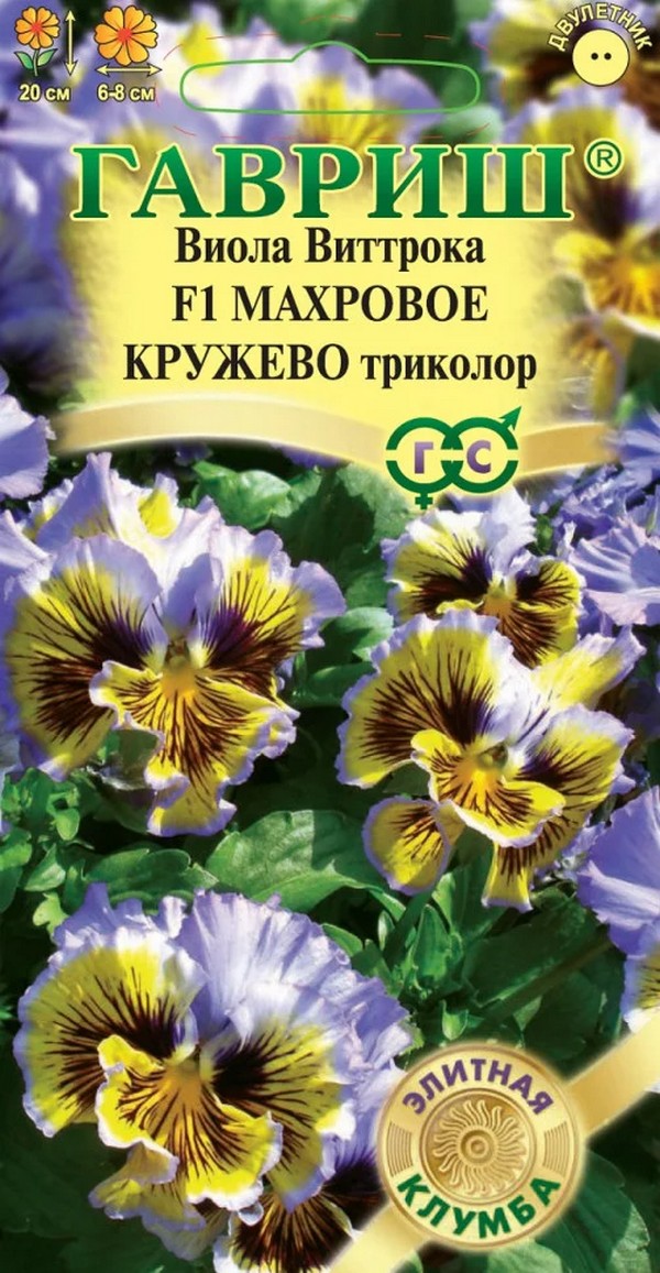 Виола Махровое кружево триколор F1, 5 шт. Элитная клумба.