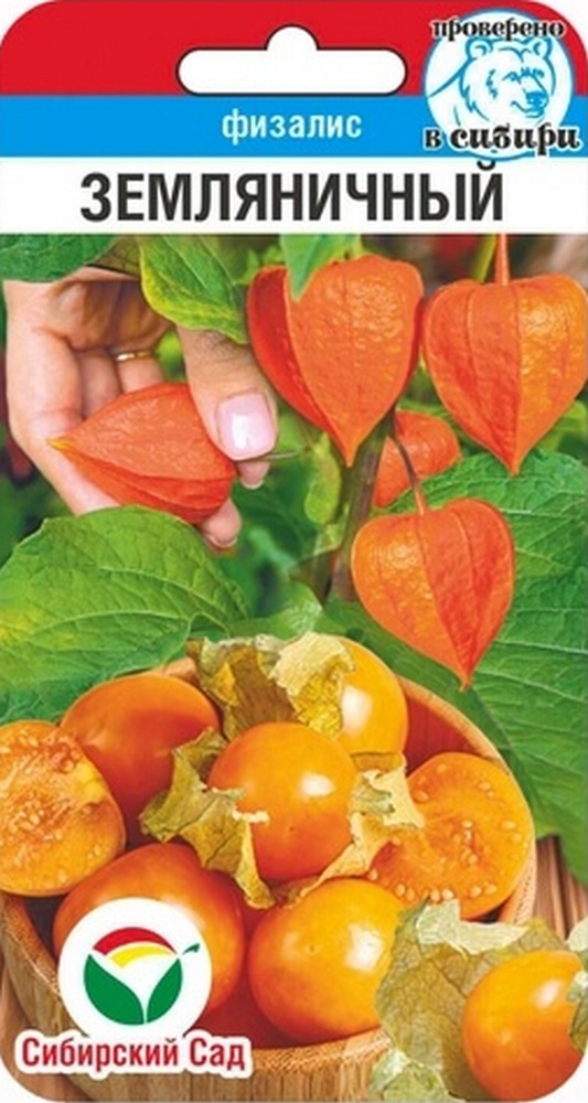 Физалис Земляничный, 30 шт. Сибирский сад