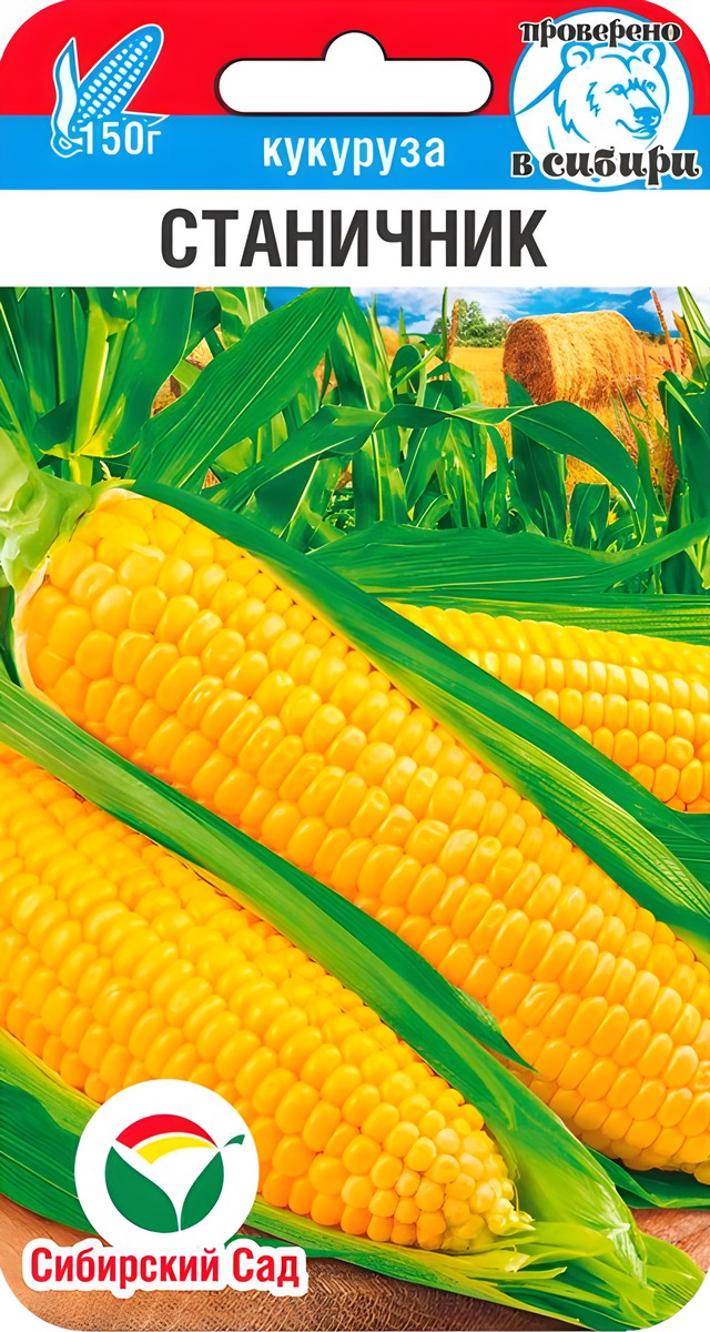 Кукуруза Станичник, 6 шт.